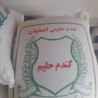 گندم حلیمی اصفهان