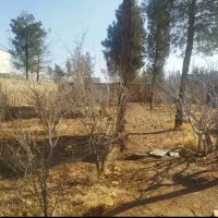 1000مترباغ-ویلا-سندتک-برگ-آب-لوله-کشی-نزدیک-شهر