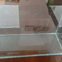اکفاریوم شیشه چهار میل