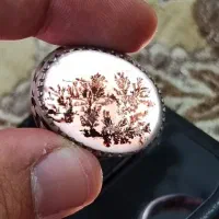 شجر قائن فروش یا معاوضه