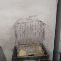 قفس‌پرنده