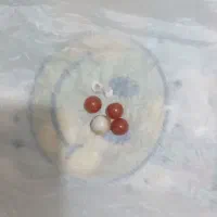 مهره
