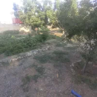 زمین ویلایی ۵۰۰متری شوراب فردوسی