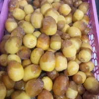 رطب برحی درجه ۱