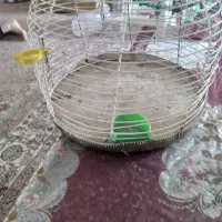 قفس