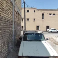 وانت