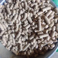 خوراک دام پرواری