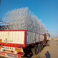 حفاظ روی دیوار. شاخ گوزنی .بوته خاری .