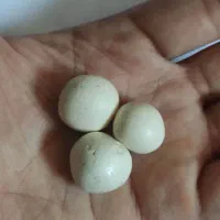 سنگ سختی بالا