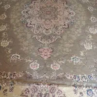 تخت خواب، فرش و...