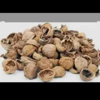 پوست گردو شما را با بالاترین قیمت خریداریم