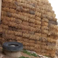 پرس کولش