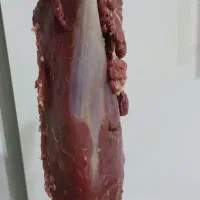 گوشت گرم گوساله