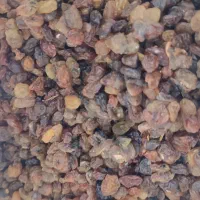 کشمش آبگیری