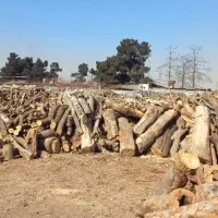 خرید چوب هیزمی و صنعتی