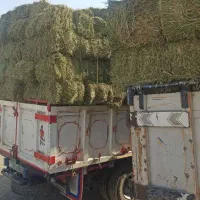 کاه  یونجه
