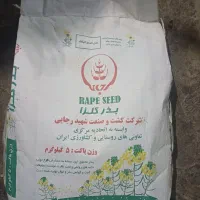بذر کلزا درجه ۱ اصلی