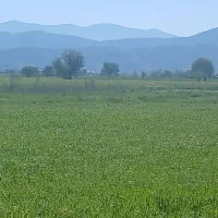 درخواست اجاره زمین کشاورزی