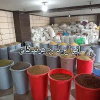 دانه سرای هادی