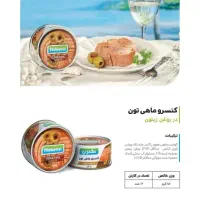 استخدام ویزیتور برای شهرهای دزفول و شوشتر