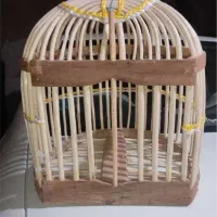 یک جفت کفتر.معاوضه با سهره نر