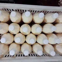 کشک گوسفندی  محلی