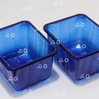 ظرف بسته بندی قارچ دکمه ای 200 گرمی تا 1000 گرم
