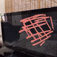 تلوزیون پاناسونیک|تلویزیون و پروژکتور|چمستان, |دیوار