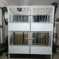قفس لاری گنجه لاری