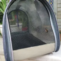 کیف حمل پرنده