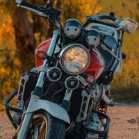 تابلو تک دلار عمده