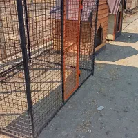 قفس حیوانات