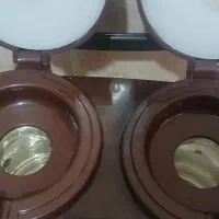 فلاکس سالم