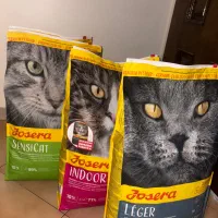 جشنواره غذا خشک گربه (تعداد محدود)