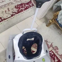 روروئک  دلیجان