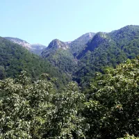 اجاره شبانه دوهزار