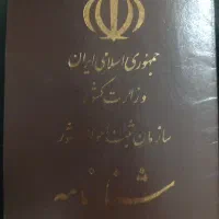 شناسنامه گم شده