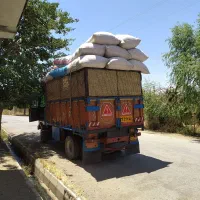 فروش کاه گندم درجه یک تحویلی درب دامداری