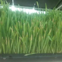 فروش کارتن ۵ لایه