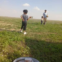 زمین باغ شهری در مجتمع هوردشت سیاخ دارنگون