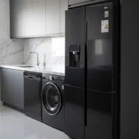 یخچال ساید الجی/اتصال به آب شهری/18ماه گارانتی