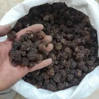 آلو وآلوچه خشک