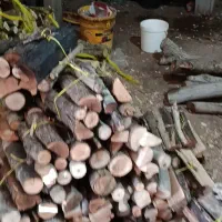 هیزوم چوب باغی بسته بندی