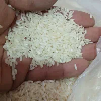 اصلاح شده برنج طارم هلال کیلویی ۲۶۰