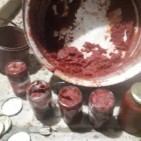 رب تازه