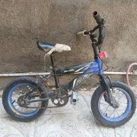 دوچرخه ۱۲ تنه بلند