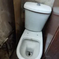 تولت فرنگی