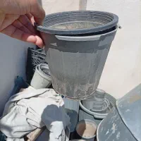 گلدان پلاستیکی