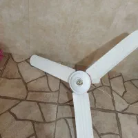 پنکه سقفی