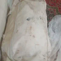 چادر حلال احمری 15نفره نو